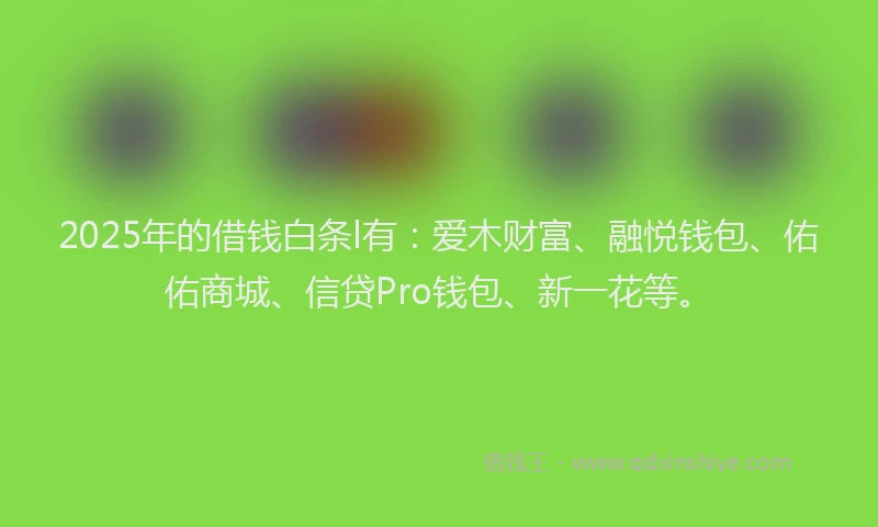 2025年的借钱白条l有：爱木财富、融悦钱包、佑佑商城、信贷Pro钱包、新一花等。