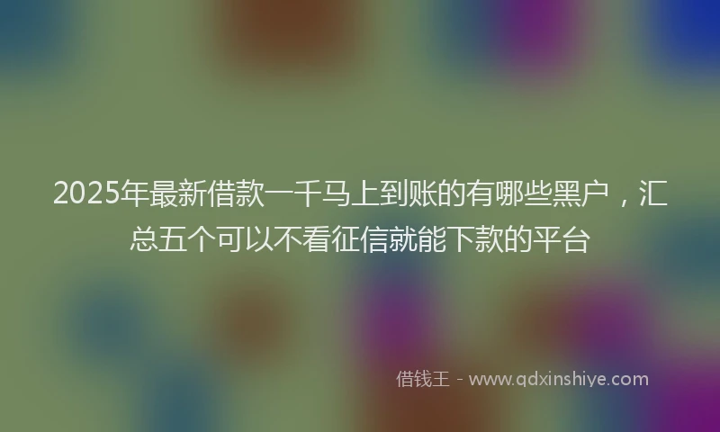 2025年最新借款一千马上到账的有哪些黑户，汇总五个可以不看征信就能下款的平台