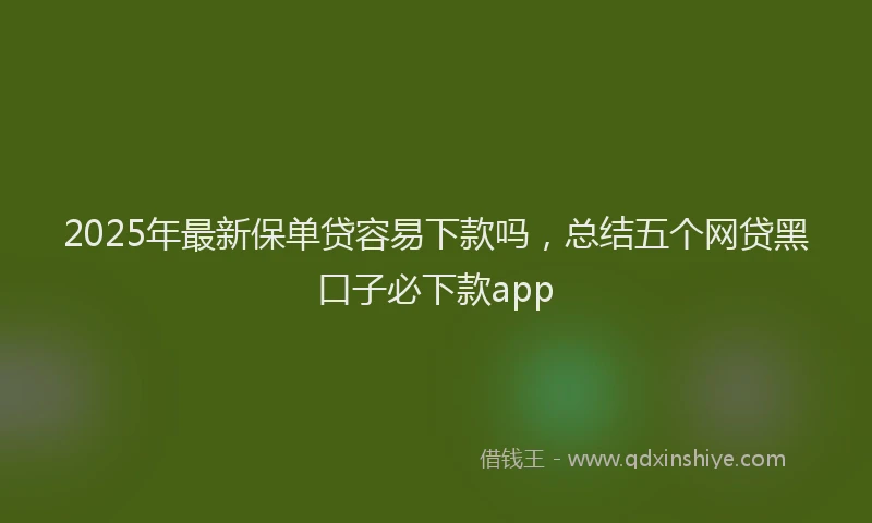 2025年最新保单贷容易下款吗，总结五个网贷黑口子必下款app
