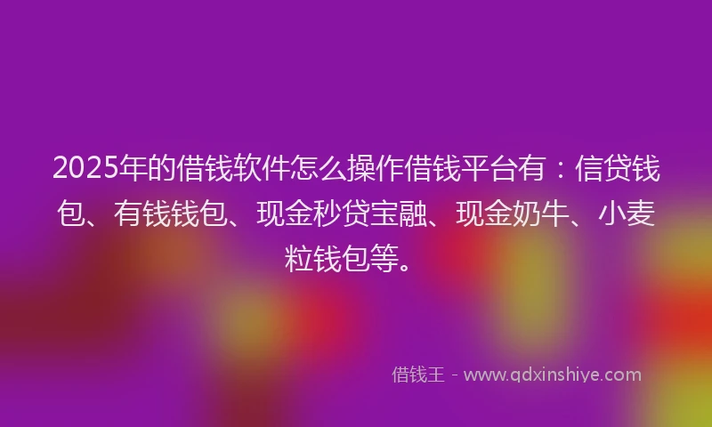 2025年的借钱软件怎么操作借钱平台有：信贷钱包、有钱钱包、现金秒贷宝融、现金奶牛、小麦粒钱包等。