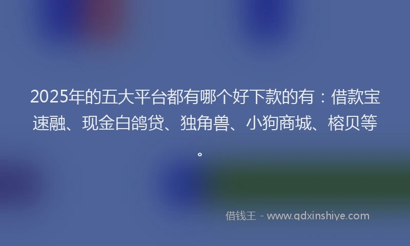 2025年的五大平台都有哪个好下款的有：借款宝速融、现金白鸽贷、独角兽、小狗商城、榕贝等。
