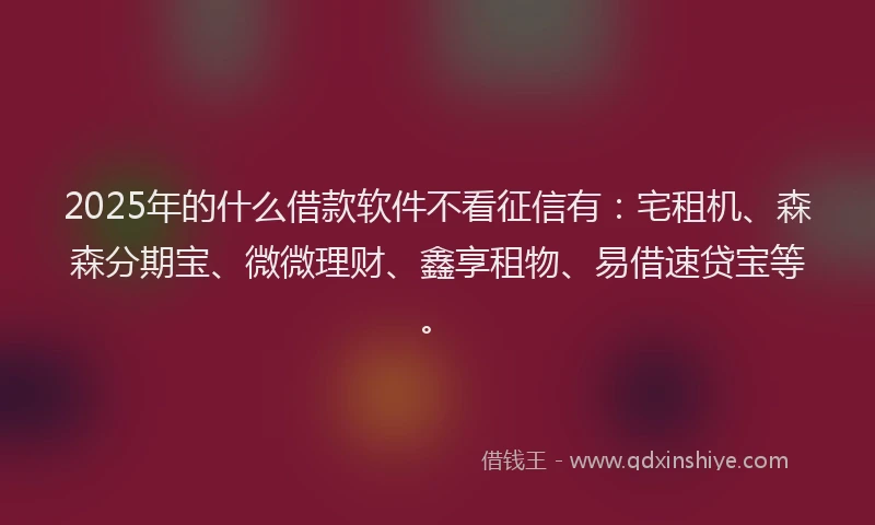 2025年的什么借款软件不看征信有：宅租机、森森分期宝、微微理财、鑫享租物、易借速贷宝等。