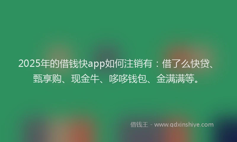 2025年的借钱快app如何注销有：借了么快贷、甄享购、现金牛、哆哆钱包、金满满等。