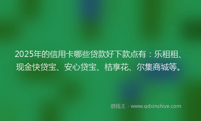 2025年的信用卡哪些贷款好下款点有：乐租租、现金快贷宝、安心贷宝、桔享花、尔集商城等。