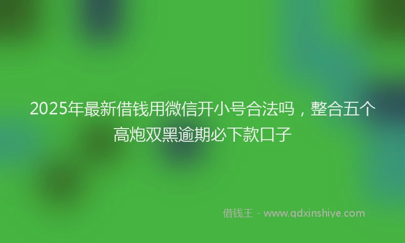 2025年最新借钱用微信开小号合法吗，整合五个高炮双黑逾期必下款口子