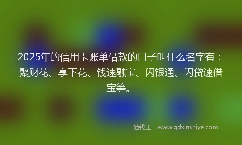 2025年的信用卡账单借款的口子叫什么名字有：聚财花、享下花、钱速融宝、闪银通、闪贷速借宝等。