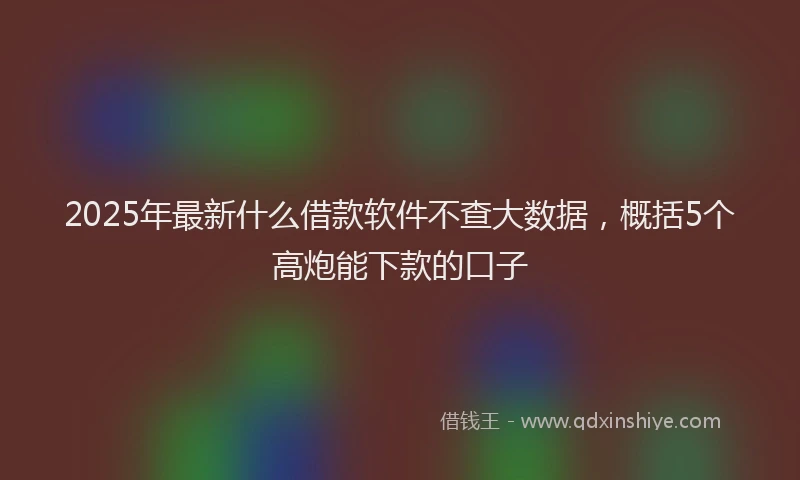 2025年最新什么借款软件不查大数据，概括5个高炮能下款的口子