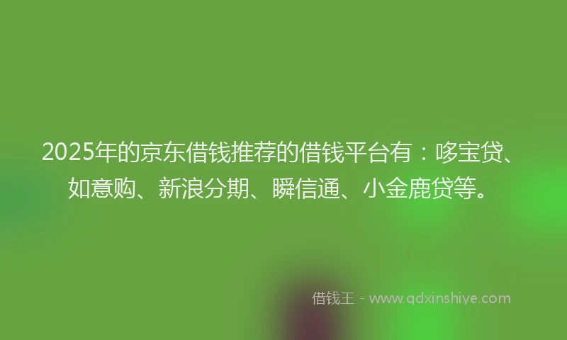 2025年的京东借钱推荐的借钱平台有：哆宝贷、如意购、新浪分期、瞬信通、小金鹿贷等。