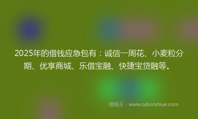 2025年的借钱应急包有：诚信一周花、小麦粒分期、优享商城、乐借宝融、快捷宝贷融等。
