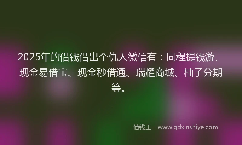 2025年的借钱借出个仇人微信有：同程提钱游、现金易借宝、现金秒借通、瑞耀商城、柚子分期等。