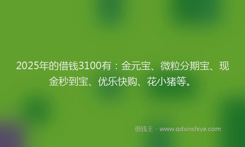 2025年的借钱3100有：金元宝、微粒分期宝、现金秒到宝、优乐快购、花小猪等。