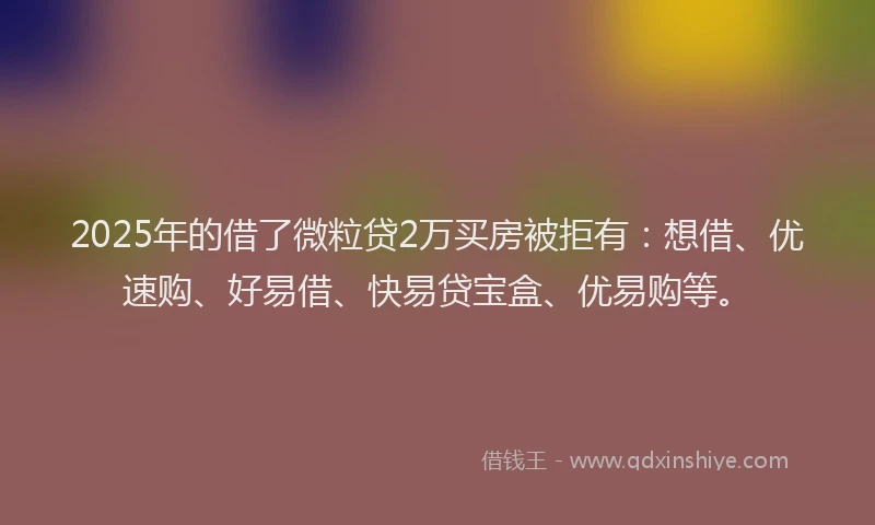 2025年的借了微粒贷2万买房被拒有：想借、优速购、好易借、快易贷宝盒、优易购等。
