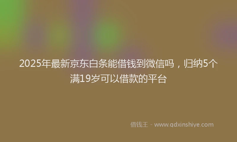 2025年最新京东白条能借钱到微信吗，归纳5个满19岁可以借款的平台