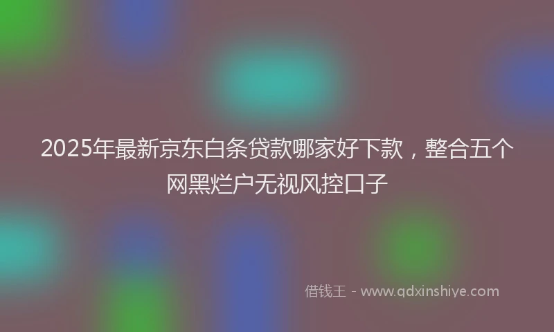 2025年最新京东白条贷款哪家好下款，整合五个网黑烂户无视风控口子