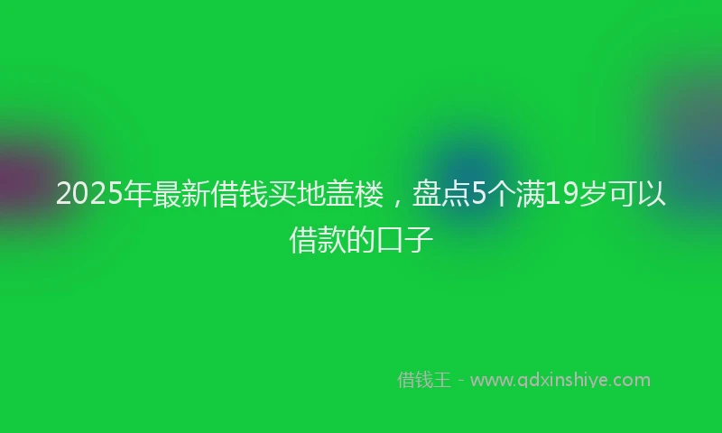 2025年最新借钱买地盖楼，盘点5个满19岁可以借款的口子