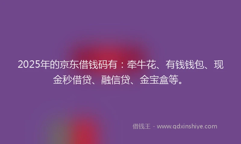 2025年的京东借钱码有：牵牛花、有钱钱包、现金秒借贷、融信贷、金宝盒等。