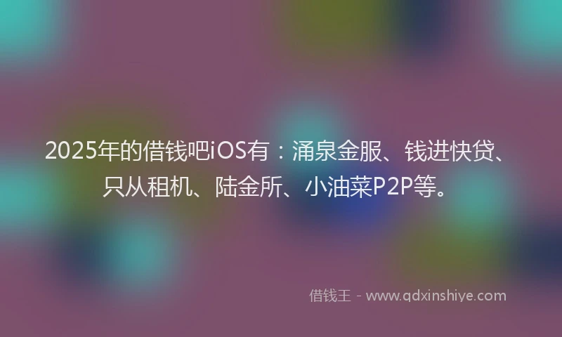 2025年的借钱吧iOS有：涌泉金服、钱进快贷、只从租机、陆金所、小油菜P2P等。