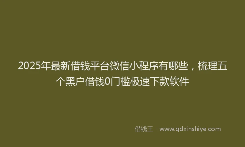 2025年最新借钱平台微信小程序有哪些，梳理五个黑户借钱0门槛极速下款软件