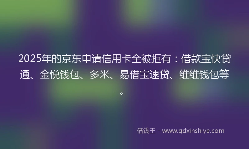 2025年的京东申请信用卡全被拒有：借款宝快贷通、金悦钱包、多米、易借宝速贷、维维钱包等。
