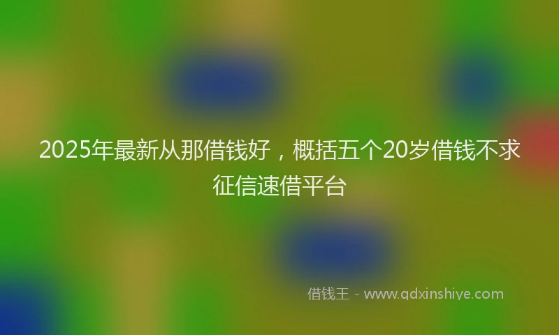 2025年最新从那借钱好，概括五个20岁借钱不求征信速借平台