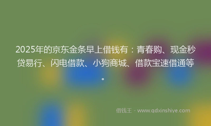 2025年的京东金条早上借钱有：青春购、现金秒贷易行、闪电借款、小狗商城、借款宝速借通等。