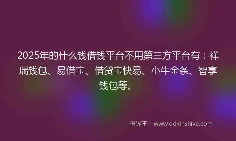 2025年的什么钱借钱平台不用第三方平台有：祥瑞钱包、易借宝、借贷宝快易、小牛金条、智享钱包等。