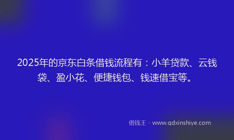 2025年的京东白条借钱流程有：小羊贷款、云钱袋、盈小花、便捷钱包、钱速借宝等。