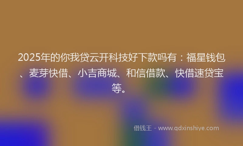 2025年的你我贷云开科技好下款吗有：福星钱包、麦芽快借、小吉商城、和信借款、快借速贷宝等。