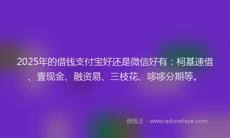 2025年的借钱支付宝好还是微信好有：柯基速借、壹现金、融资易、三枝花、哆哆分期等。