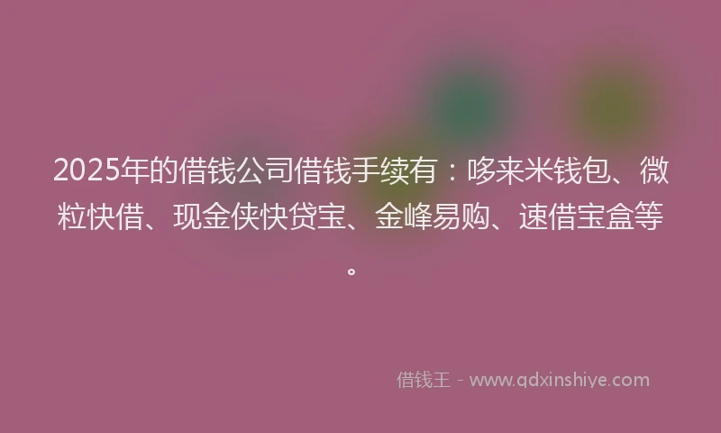 2025年的借钱公司借钱手续有：哆来米钱包、微粒快借、现金侠快贷宝、金峰易购、速借宝盒等。