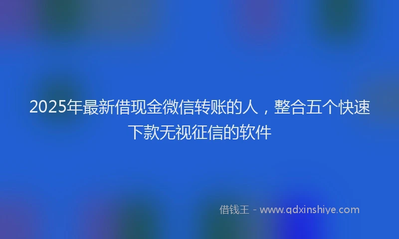2025年最新借现金微信转账的人，整合五个快速下款无视征信的软件