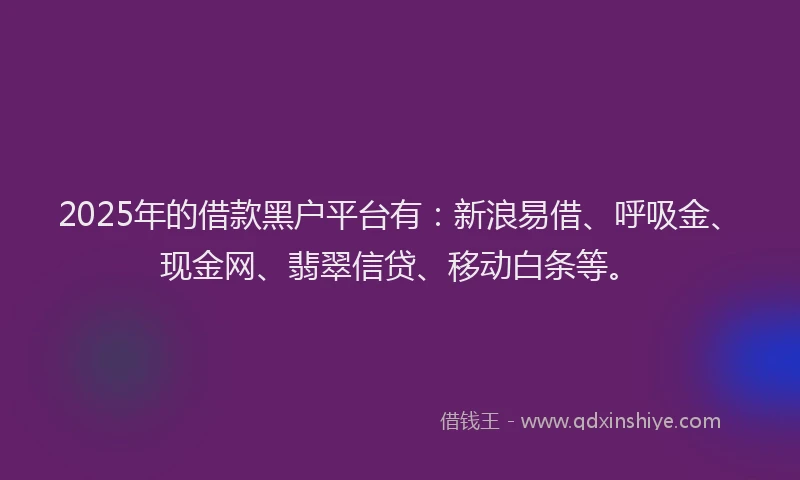 2025年的借款黑户平台有：新浪易借、呼吸金、现金网、翡翠信贷、移动白条等。