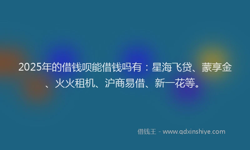 2025年的借钱呗能借钱吗有：星海飞贷、蒙享金、火火租机、沪商易借、新一花等。
