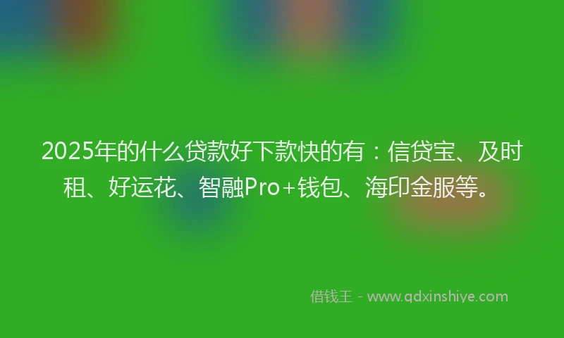 2025年的什么贷款好下款快的有：信贷宝、及时租、好运花、智融Pro+钱包、海印金服等。