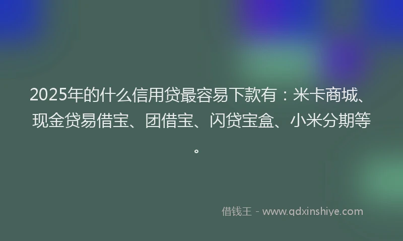 2025年的什么信用贷最容易下款有：米卡商城、现金贷易借宝、团借宝、闪贷宝盒、小米分期等。