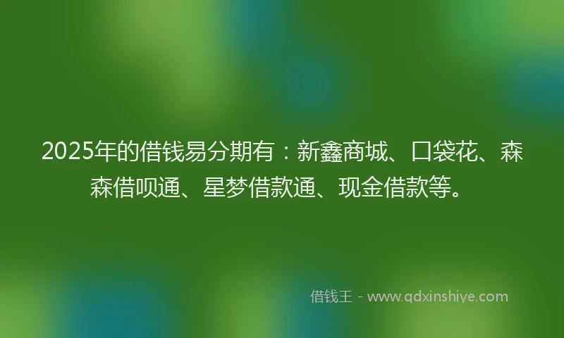 2025年的借钱易分期有：新鑫商城、口袋花、森森借呗通、星梦借款通、现金借款等。