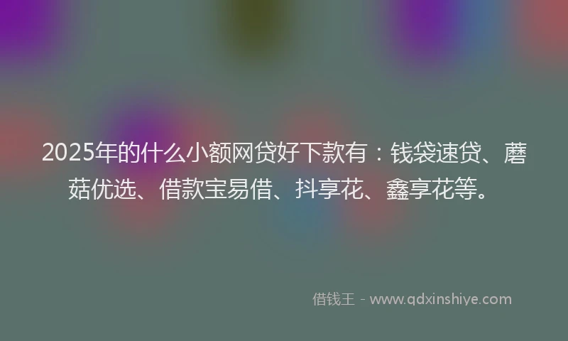 2025年的什么小额网贷好下款有：钱袋速贷、蘑菇优选、借款宝易借、抖享花、鑫享花等。