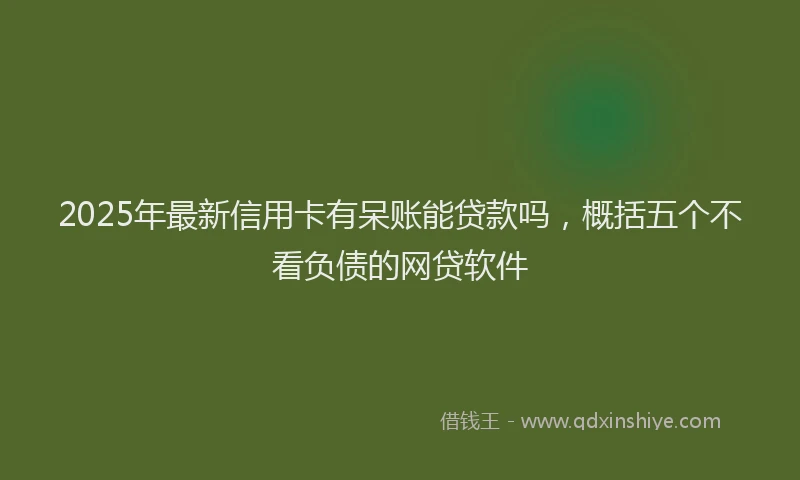 2025年最新信用卡有呆账能贷款吗，概括五个不看负债的网贷软件