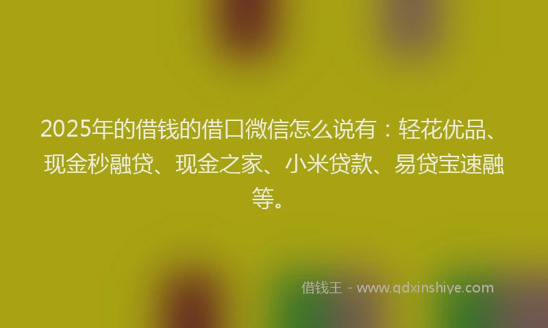 2025年的借钱的借口微信怎么说有：轻花优品、现金秒融贷、现金之家、小米贷款、易贷宝速融等。
