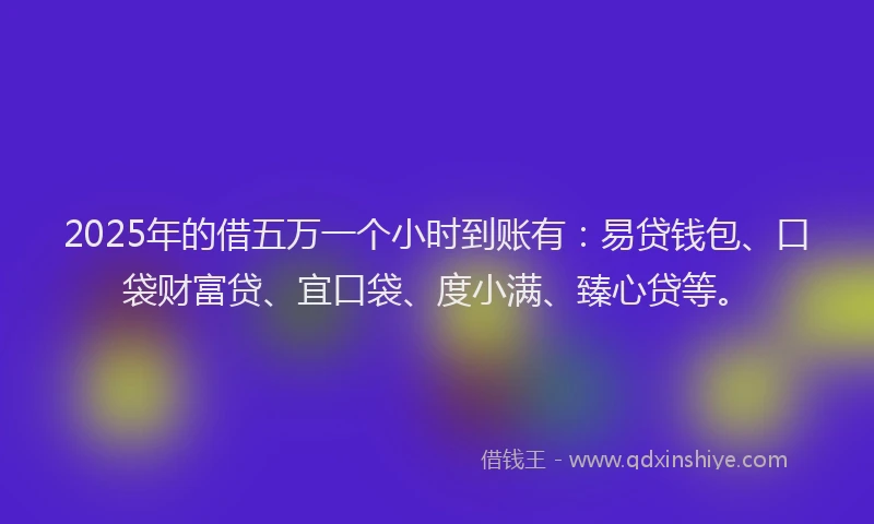 2025年的借五万一个小时到账有：易贷钱包、口袋财富贷、宜口袋、度小满、臻心贷等。