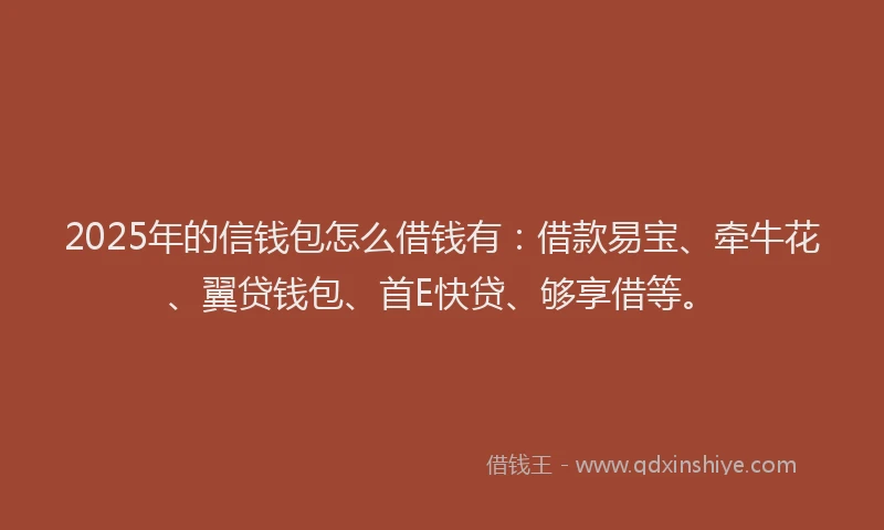 2025年的信钱包怎么借钱有：借款易宝、牵牛花、翼贷钱包、首E快贷、够享借等。