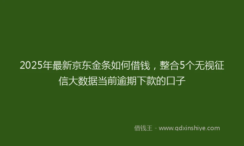 2025年最新京东金条如何借钱，整合5个无视征信大数据当前逾期下款的口子