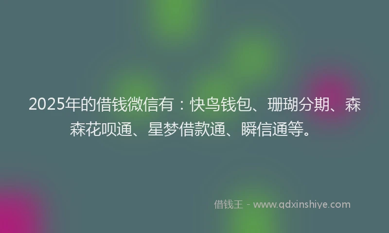 2025年的借钱微信有：快鸟钱包、珊瑚分期、森森花呗通、星梦借款通、瞬信通等。