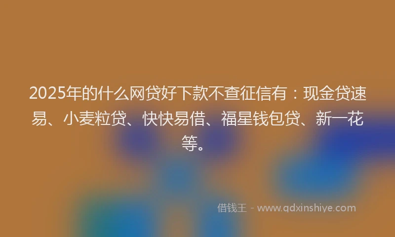 2025年的什么网贷好下款不查征信有：现金贷速易、小麦粒贷、快快易借、福星钱包贷、新一花等。