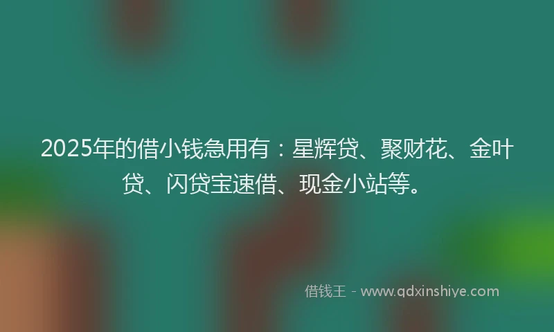 2025年的借小钱急用有：星辉贷、聚财花、金叶贷、闪贷宝速借、现金小站等。