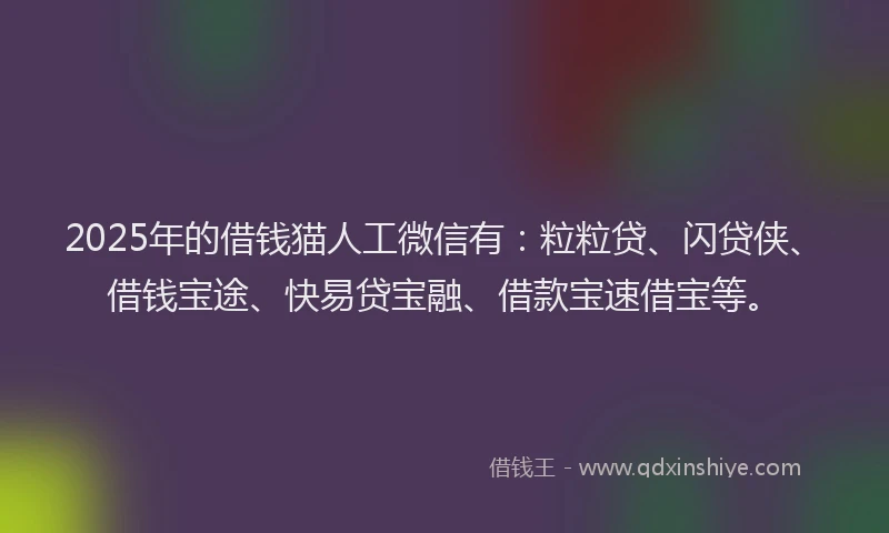 2025年的借钱猫人工微信有：粒粒贷、闪贷侠、借钱宝途、快易贷宝融、借款宝速借宝等。