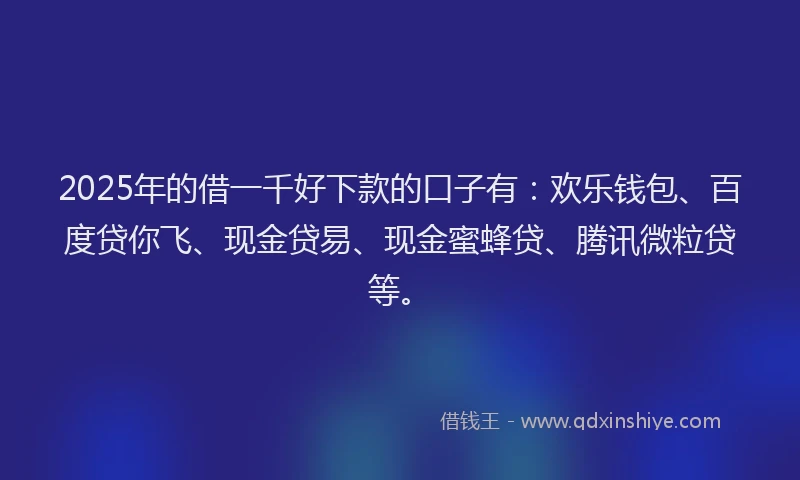 2025年的借一千好下款的口子有：欢乐钱包、百度贷你飞、现金贷易、现金蜜蜂贷、腾讯微粒贷等。