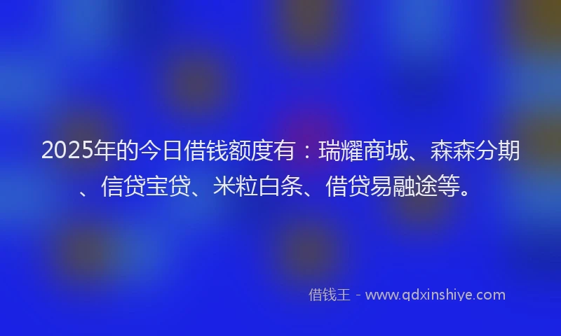 2025年的今日借钱额度有：瑞耀商城、森森分期、信贷宝贷、米粒白条、借贷易融途等。