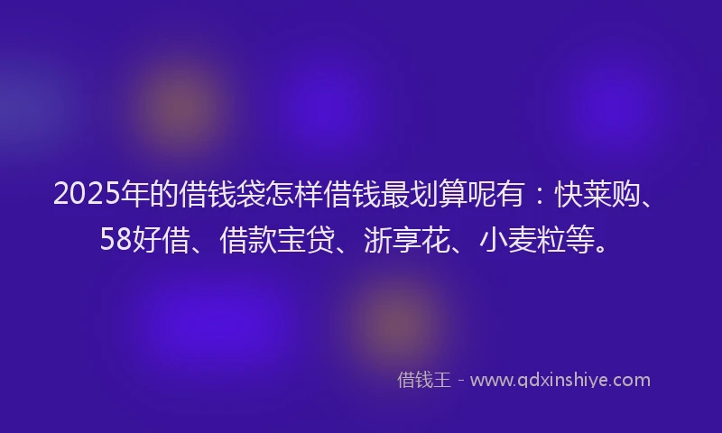 2025年的借钱袋怎样借钱最划算呢有：快莱购、58好借、借款宝贷、浙享花、小麦粒等。
