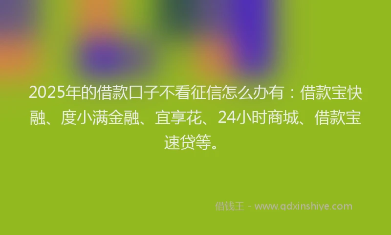 2025年的借款口子不看征信怎么办有：借款宝快融、度小满金融、宜享花、24小时商城、借款宝速贷等。